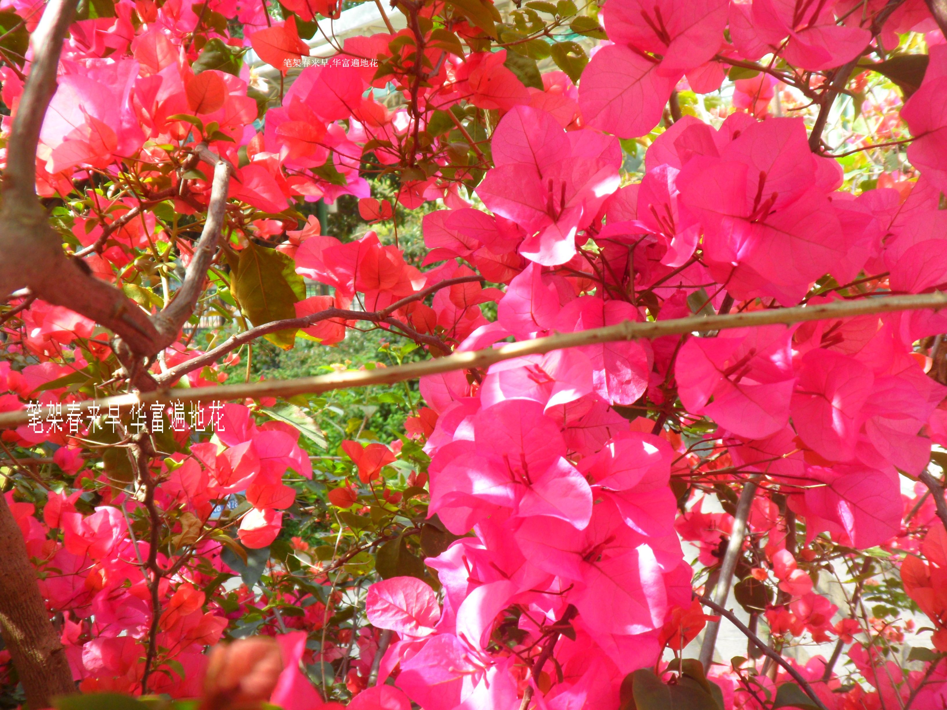 SAM_0347