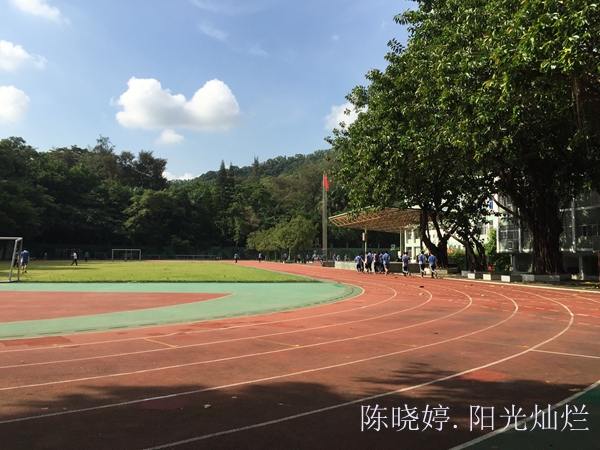 06阳光灿烂(陈晓婷)