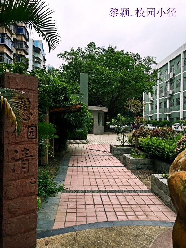 12校园小径(黎颖)