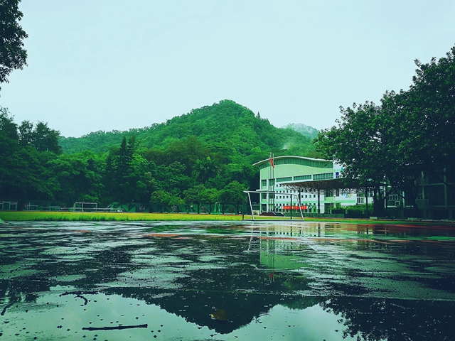 21雨后华富山水(李红玲)